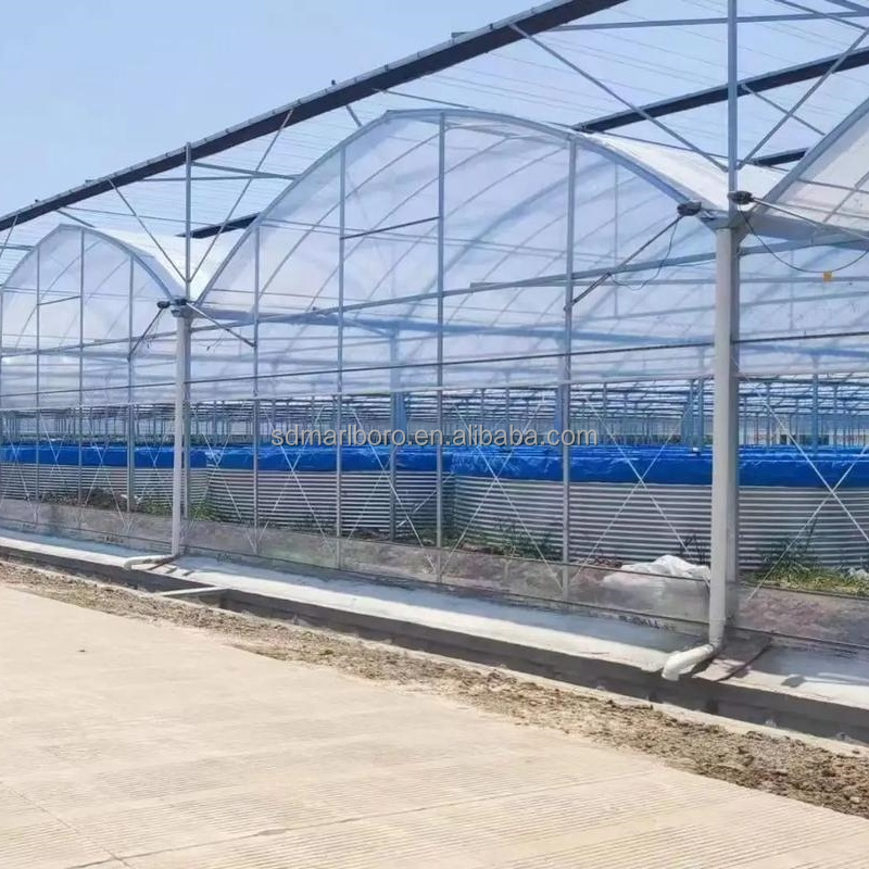 AIROW SDM Large Plastic Fish P - đánh giá và giá Farm Pond Liner