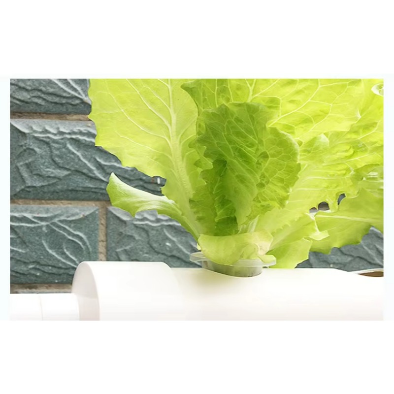 Easy Installation 36 Holes PVC - đánh giá và giá Hydroponic Nft Channel