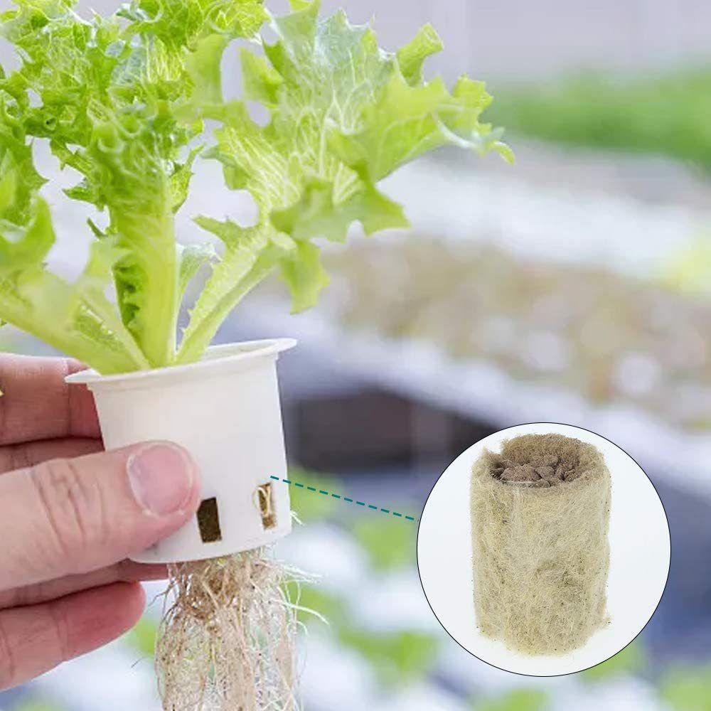 50PCS 27*20mm Size Hydroponic  - đánh giá và giá Nursery Plug Tray