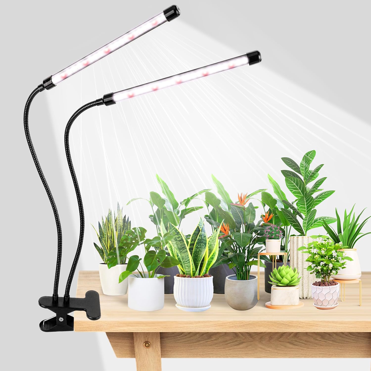 KEBINCPLED USB 5V Clip Plant G - đánh giá và giá Hydroponic Nft Channel