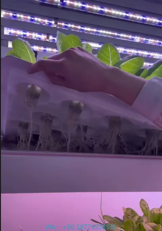 f Greenhouse Agricultural Equi - đánh giá và giá Agriculture Farming System