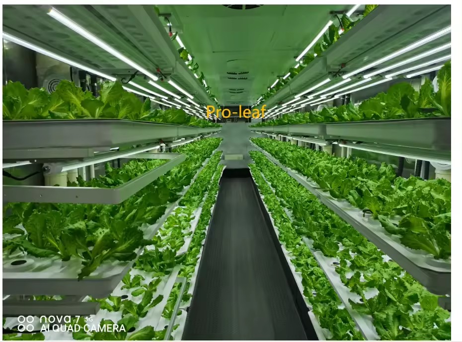 f Greenhouse Agricultural Equi - đánh giá và giá Agriculture Farming System