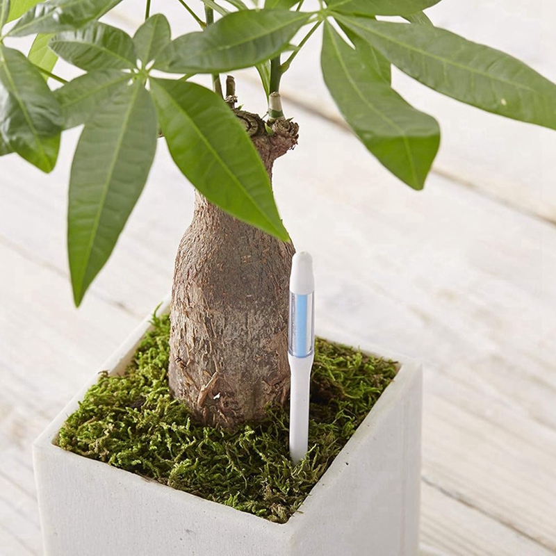 Aquameter, 5pcs, Plant Soil Mo - đánh giá và giá Soil Moisture Sensor