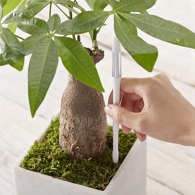 Aquameter, 5pcs, Plant Soil Mo - đánh giá và giá Soil Moisture Sensor