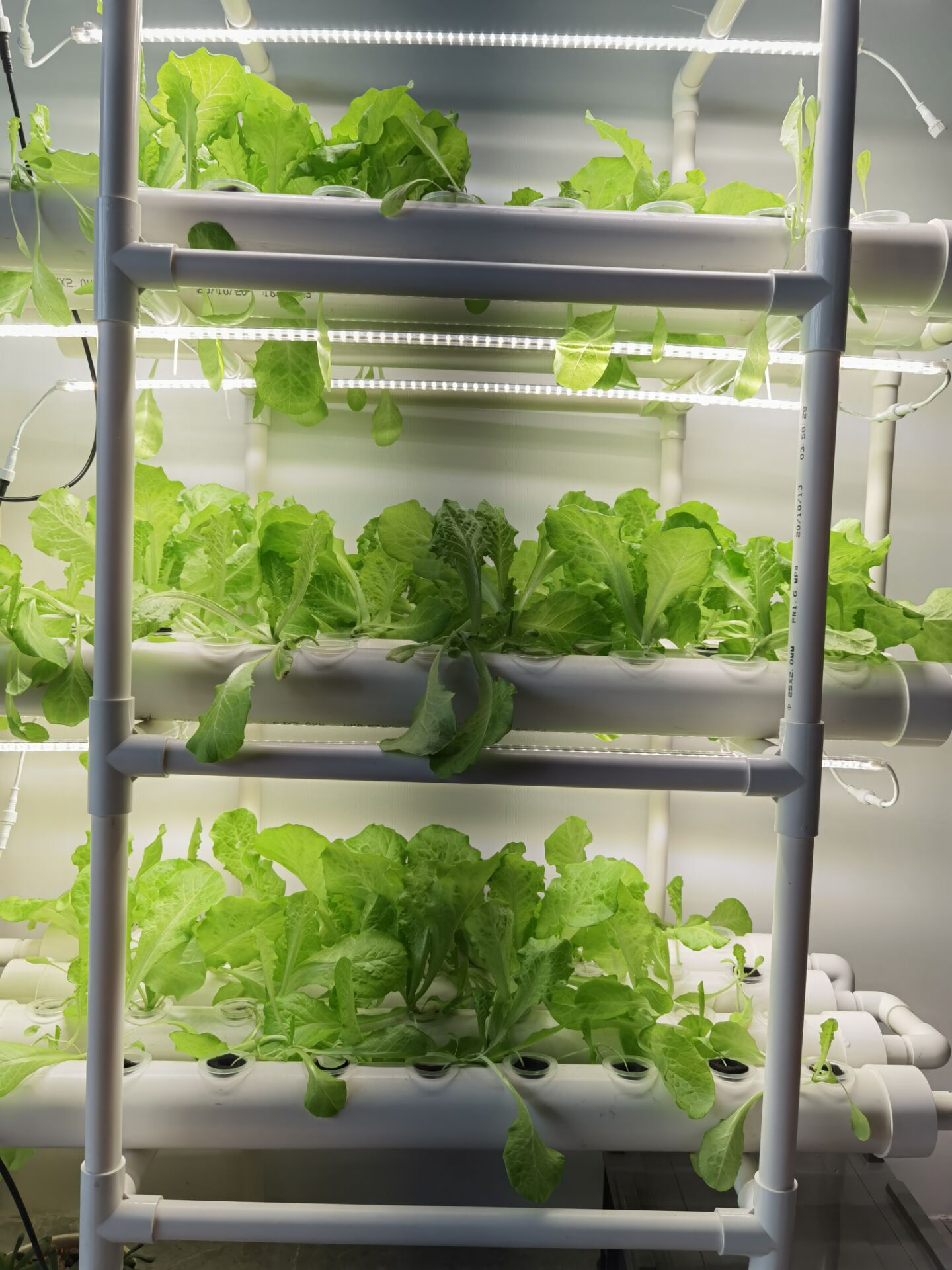 Factory Direct 3-layer Vertica - đánh giá và giá Hydroponic Nft Channel