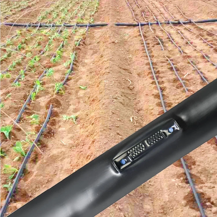 1HA Irrigation Kit Agricultura - đánh giá và giá Agriculture Farming System