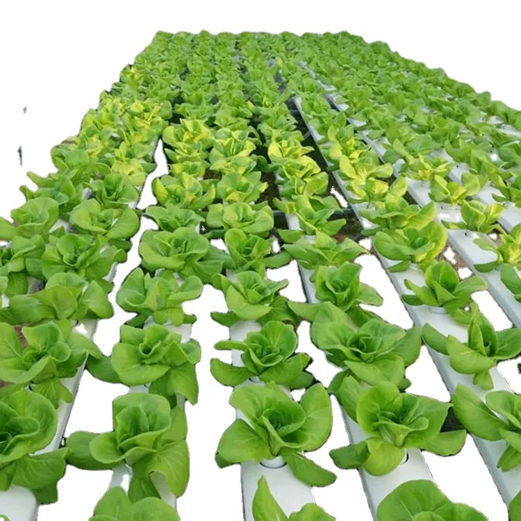 Manufacture Produce Vertical H - đánh giá và giá Hydroponic Nft Channel