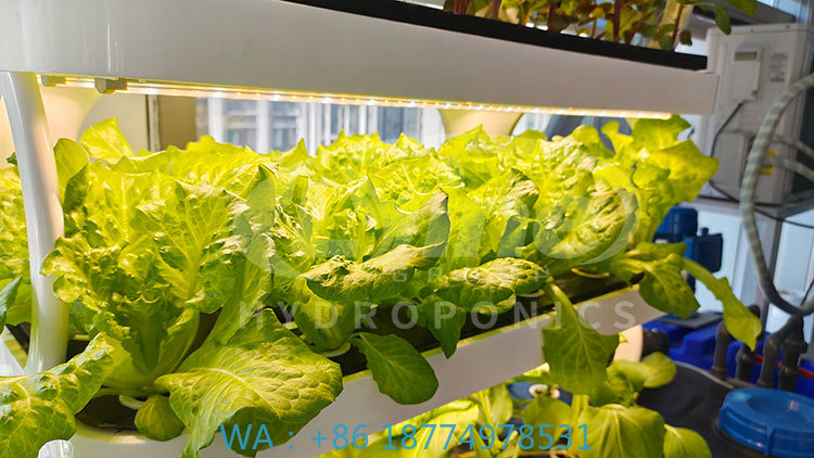 c Agriculture Machine to Growi - đánh giá và giá Agriculture Farming System