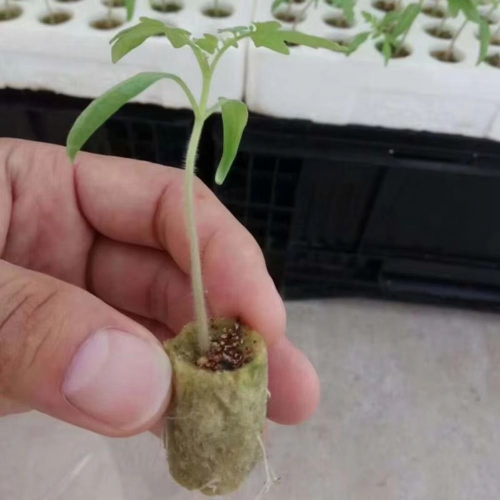 50PCS 27*20mm Size Hydroponic  - đánh giá và giá Nursery Plug Tray