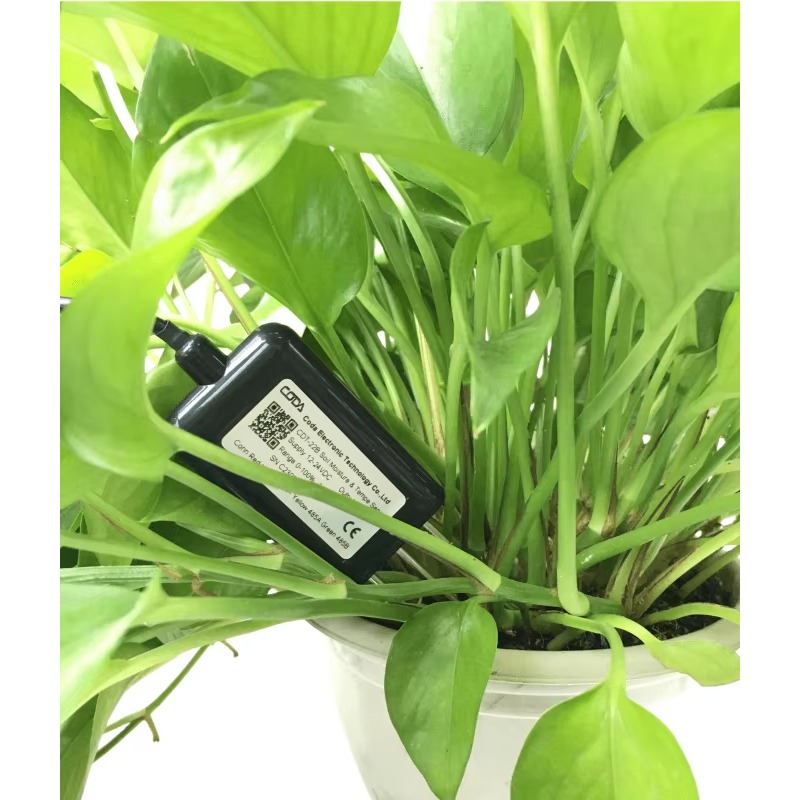 CDT-30B Rs485 0-2v Output Plan - đánh giá và giá Soil Moisture Sensor