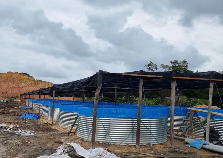 AIROW SDM Pvc Canvas Waterproo - đánh giá và giá Farm Pond Liner